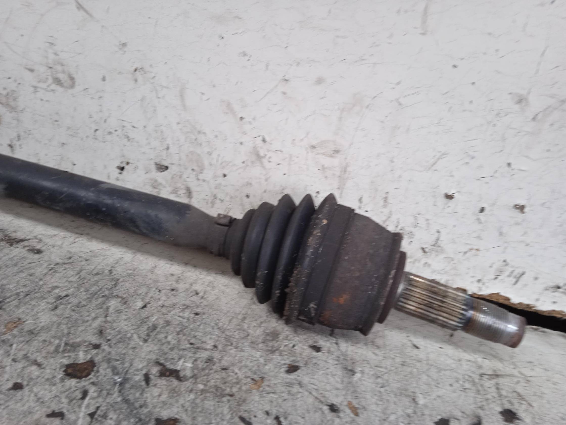 Semialbero ant. compl. sx.